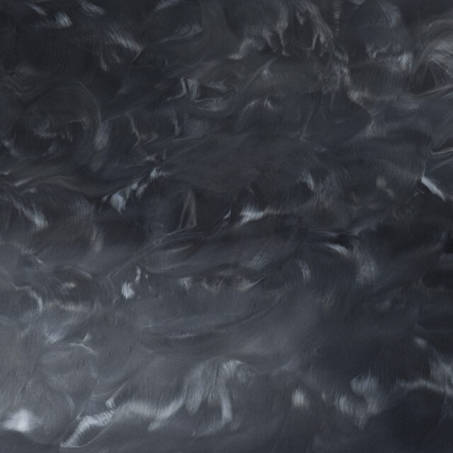 Whale & Pearl Torginol metallic pairing